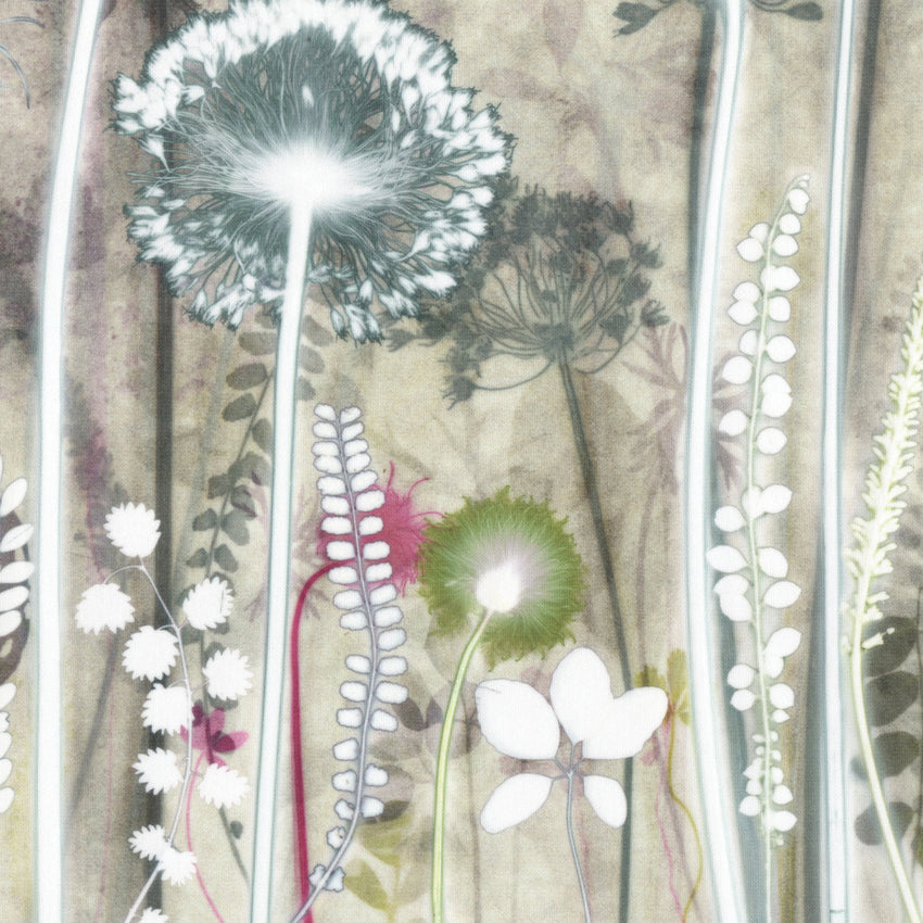 Four Alliums and Seedhead, 40 x 50 cm