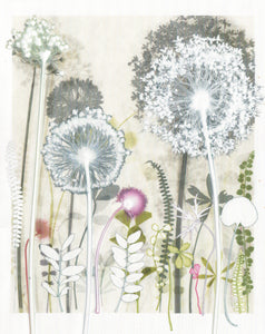 Seven Alliums, 40 x 50 cm