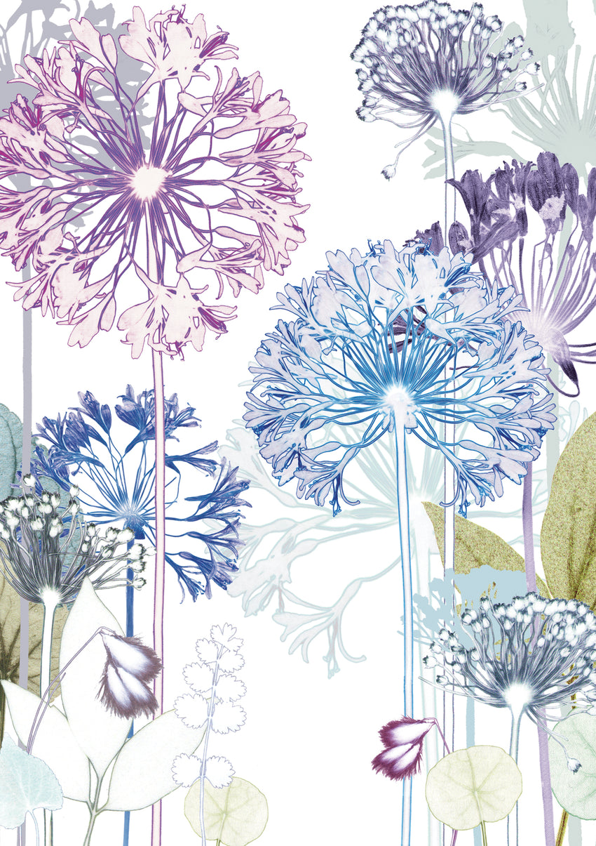 Agapanthus Trail Card