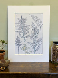 White Bracken Print