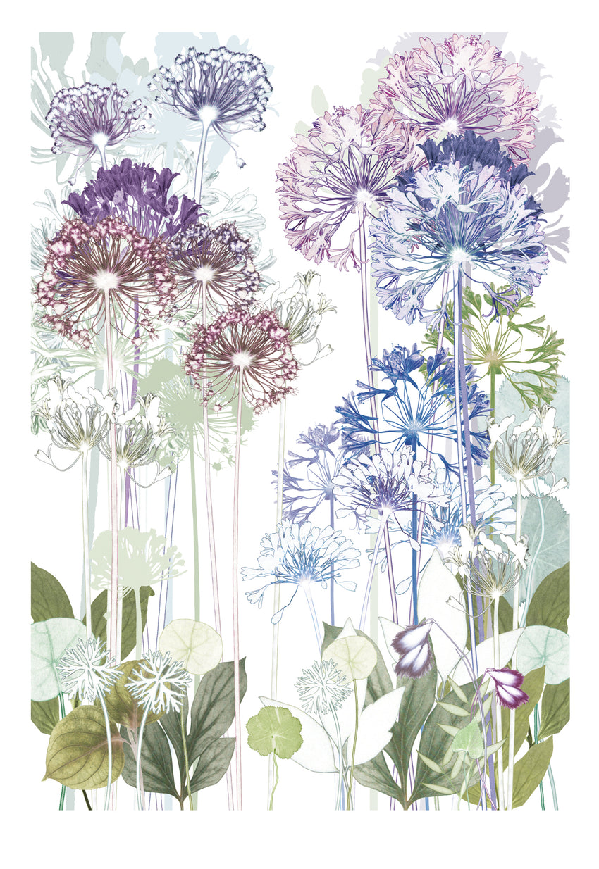 Allium Print