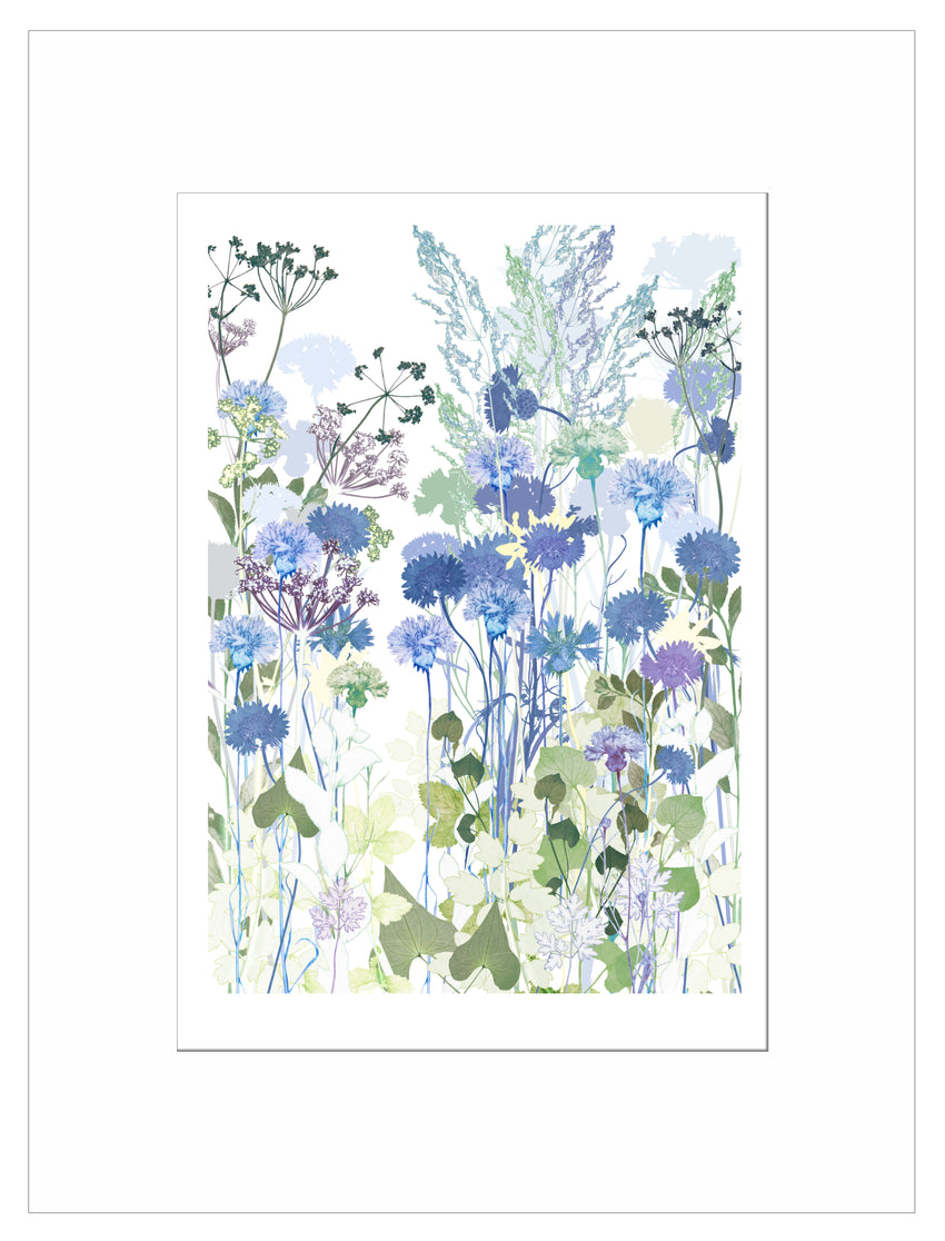 Cornflowers Print