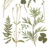 London Garden 2