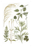 London Garden 2