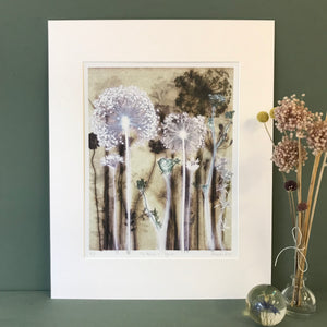 Two Alliums and Pignut