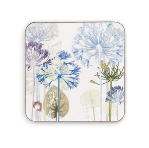 Agapanthus Coaster