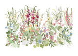 The Tangled Border