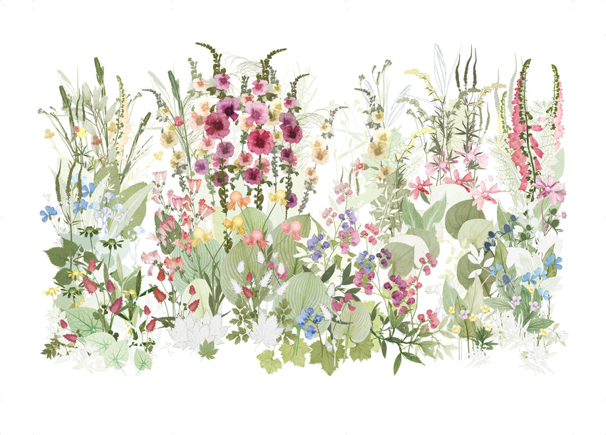 The Tangled Border