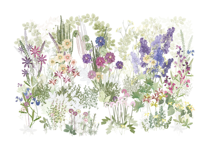 The Kitchen Garden, Highgrove
