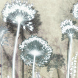 Four Alliums and Seedhead, 40 x 50 cm