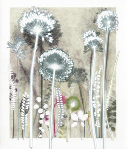 Four Alliums and Seedhead, 40 x 50 cm
