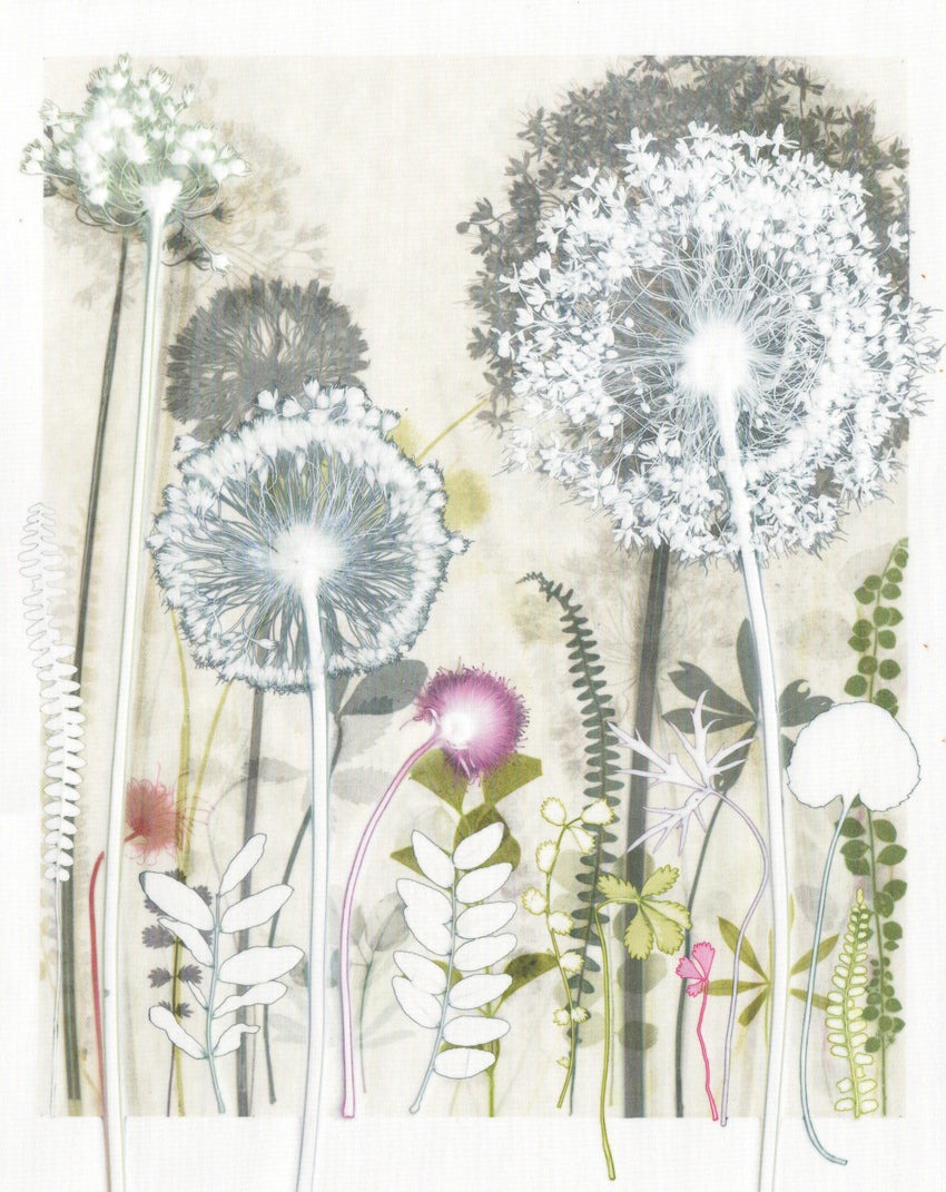 Seven Alliums for Jessica , 40 x 50 cm