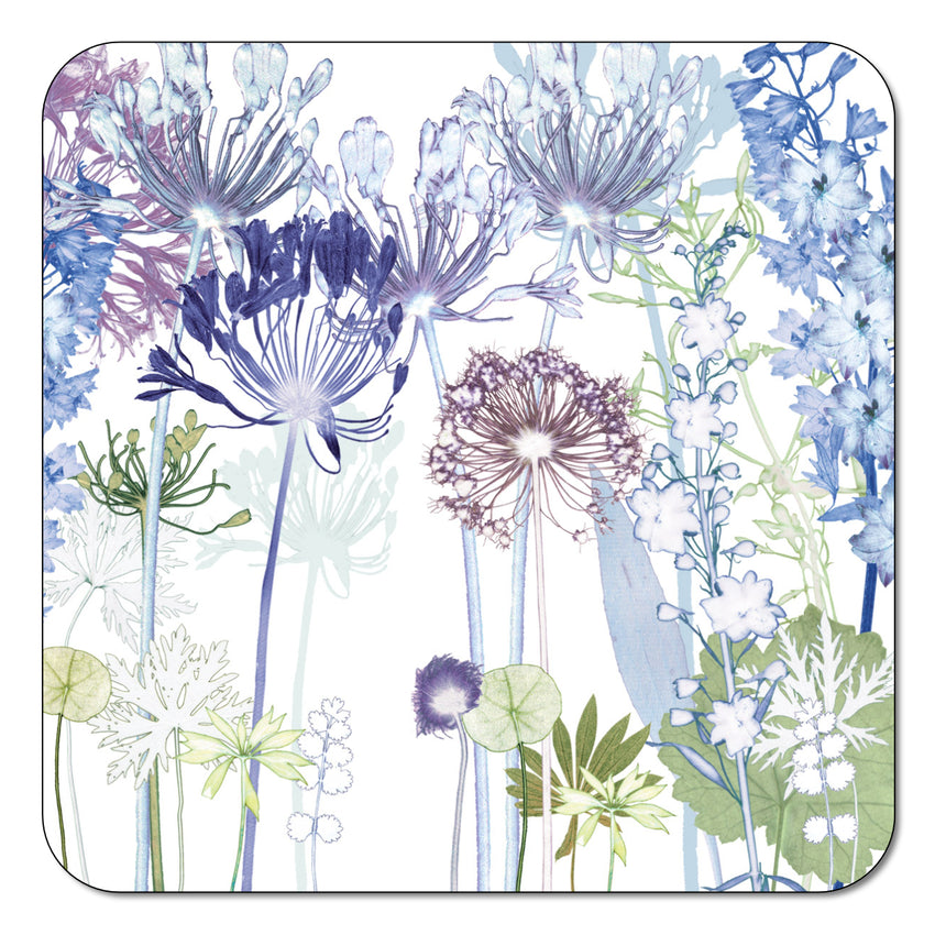 Agapanthus Coasters
