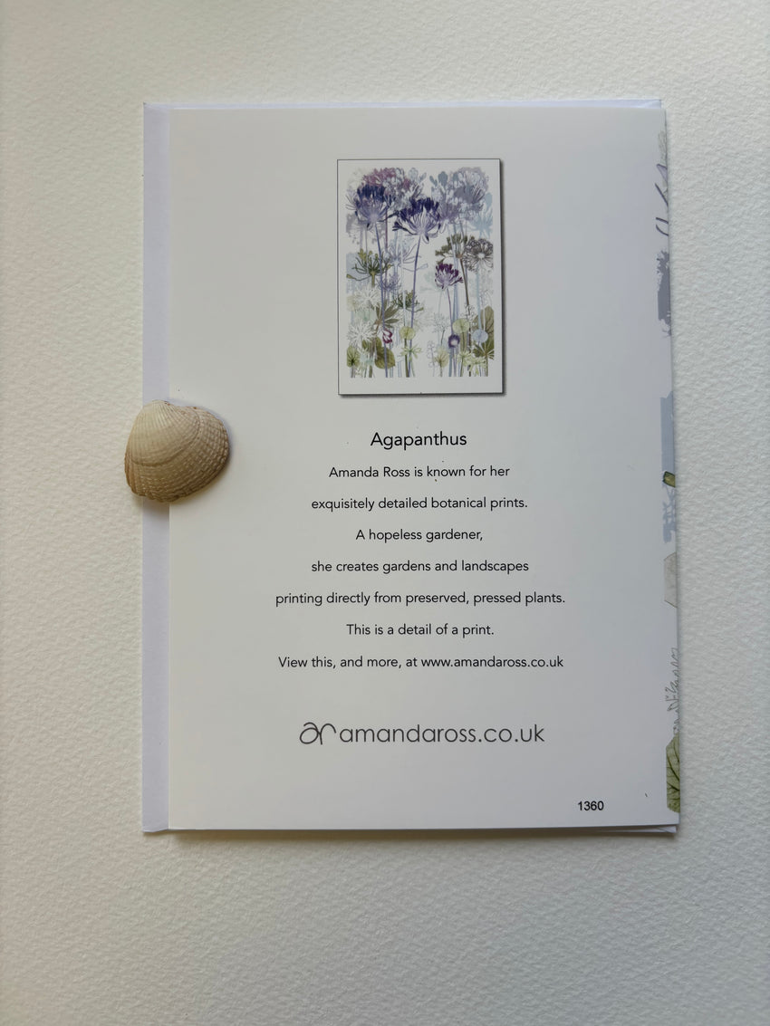 Agapanthus Greetings Card