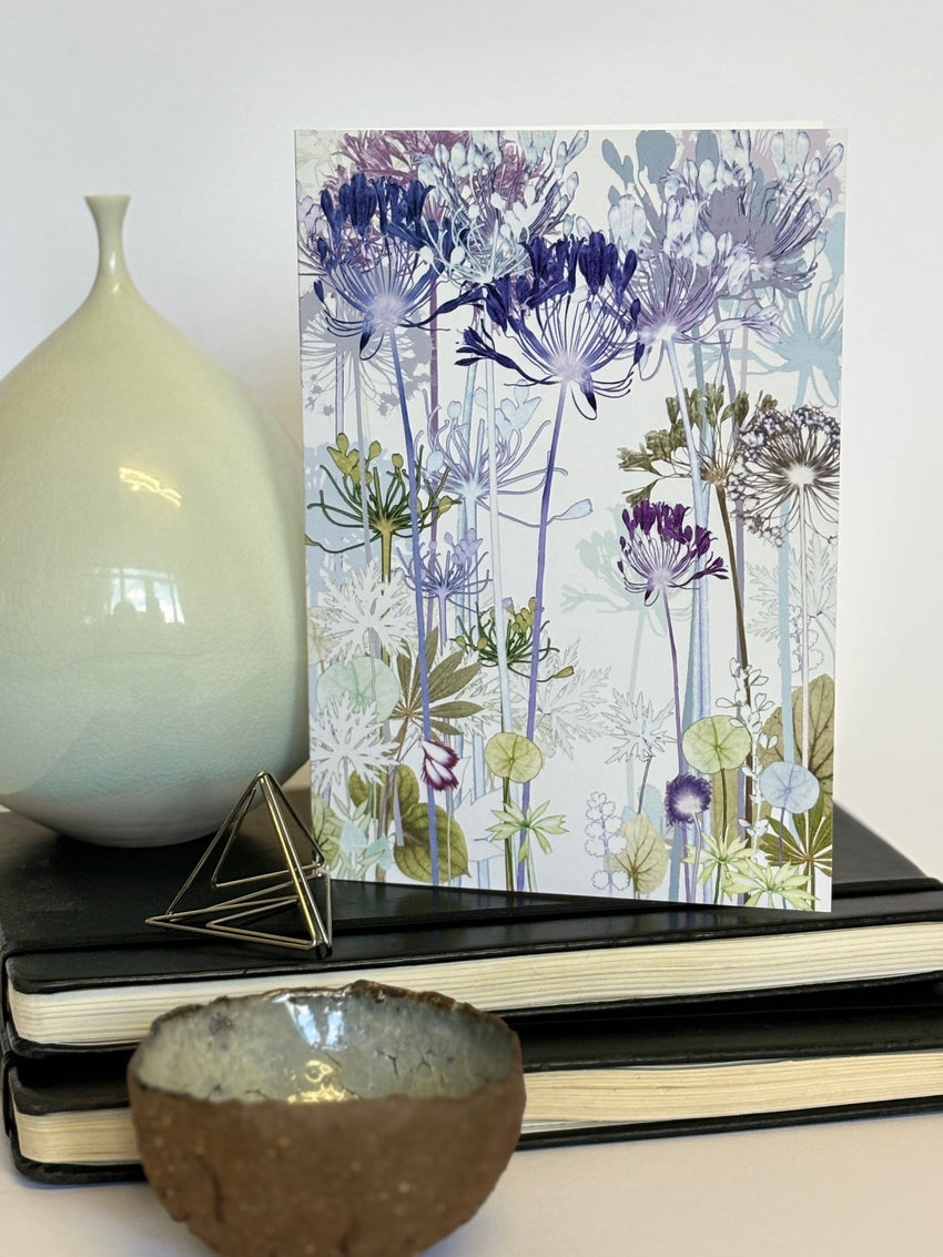 Agapanthus Greetings Card