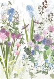 Anemones and Phlox, Highgrove print