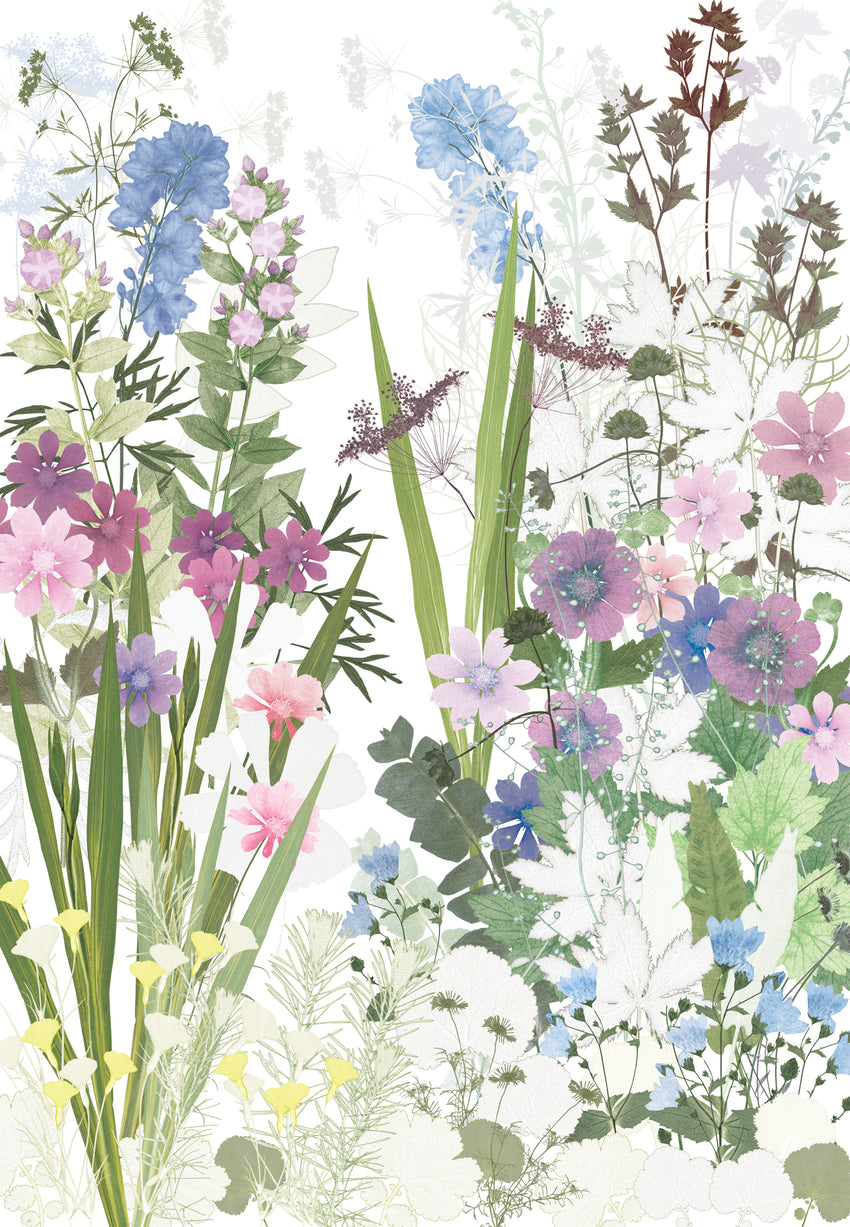 Anemones and Phlox, Highgrove print