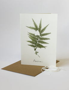 Pteridium Card