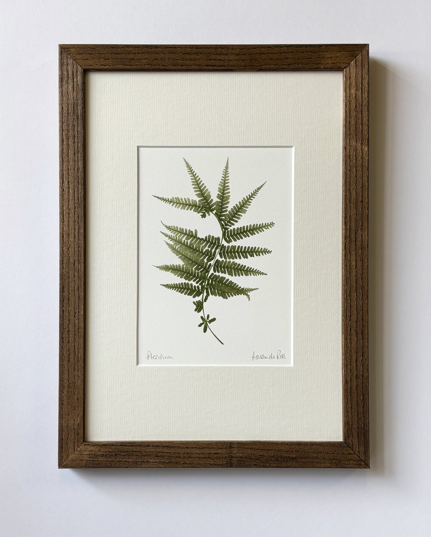 Pteridium Print