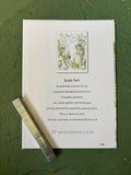 Bridle Path Greetings Card