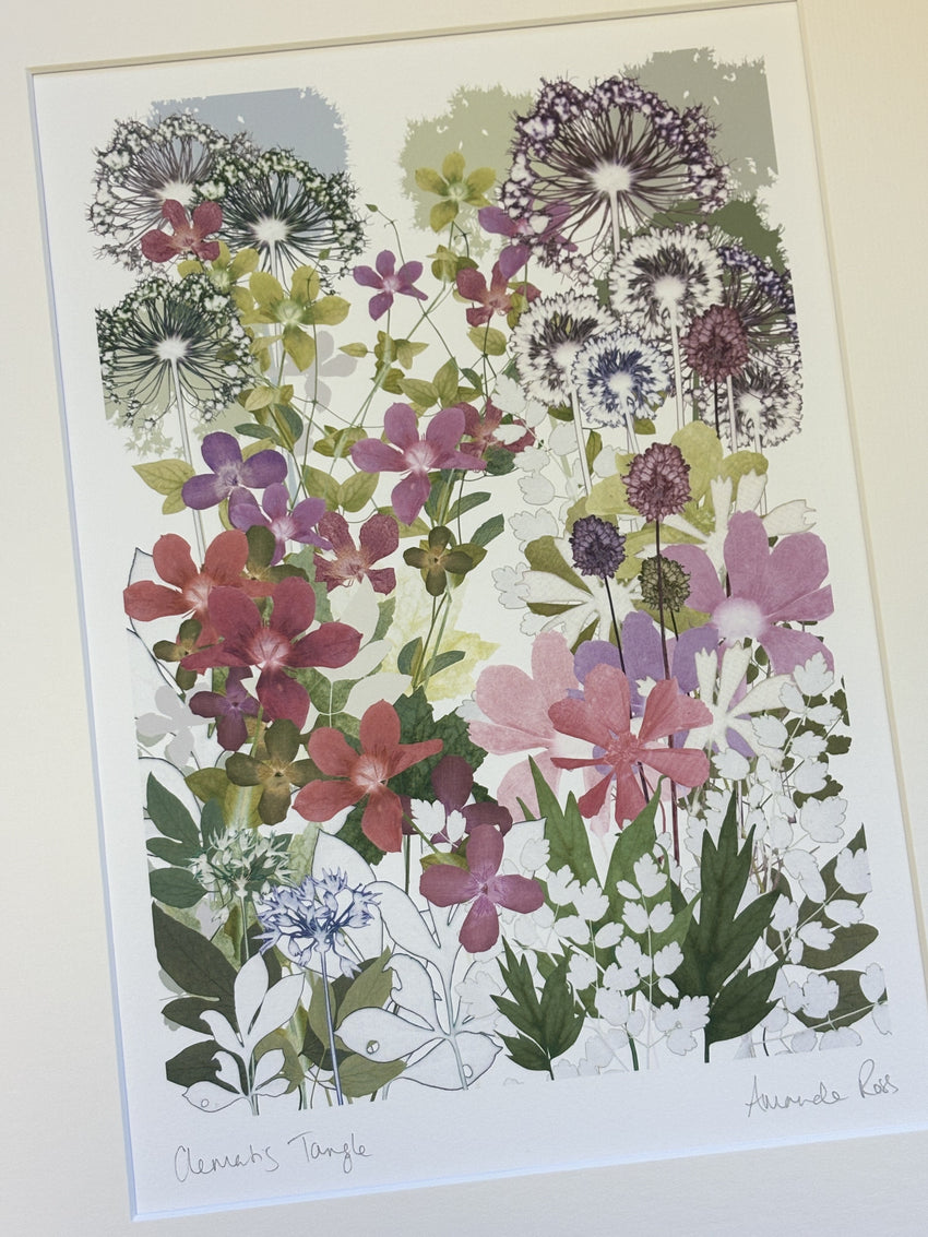 Clematis Print