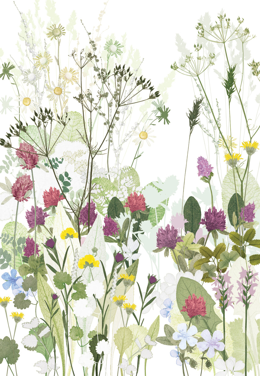 Clover and Cowparsley Print