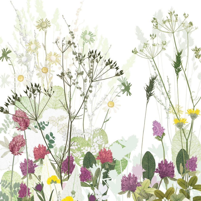 Clover and Cowparsley Print