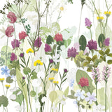 Clover and Cowparsley Print