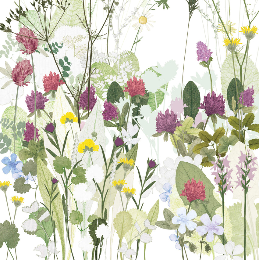 Clover and Cowparsley Print