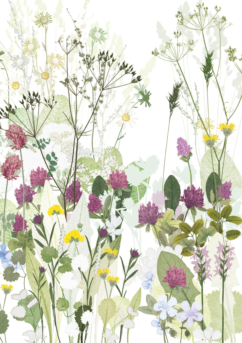 Clover and Cow Parsley Card