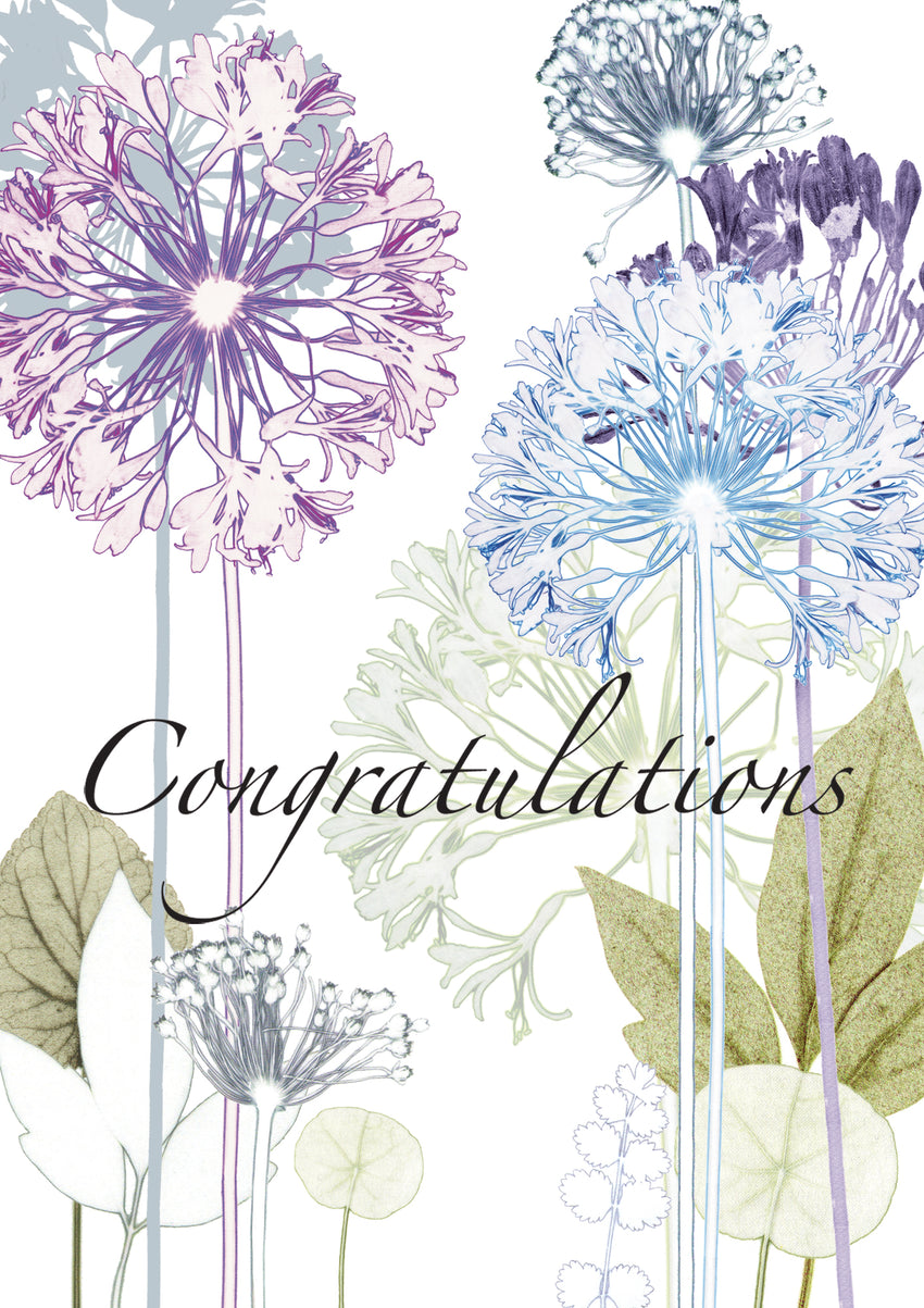 Congratulations Card