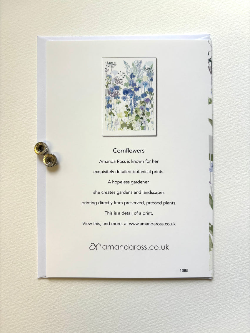 Cornflowers Greetings Card