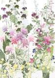 Cosmos and Astrantia Card