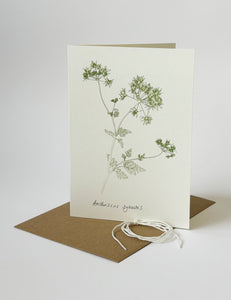 Cow parsley card