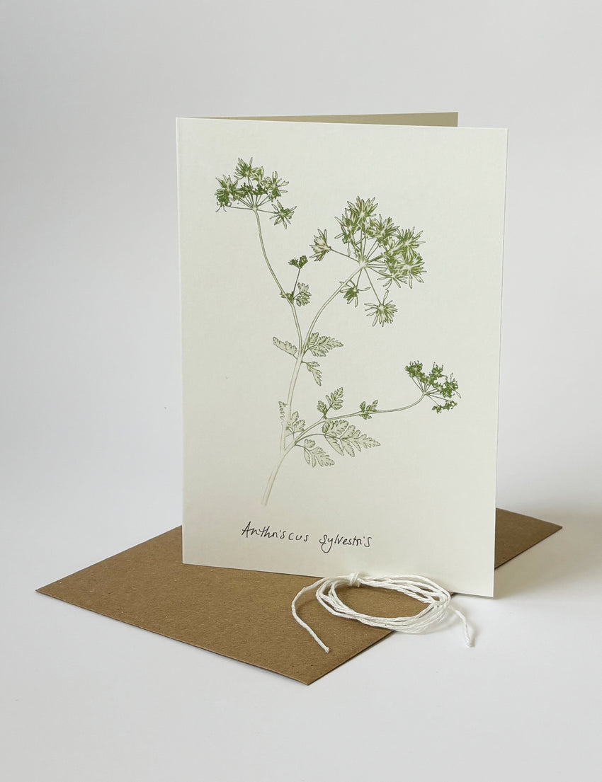 Cow parsley card