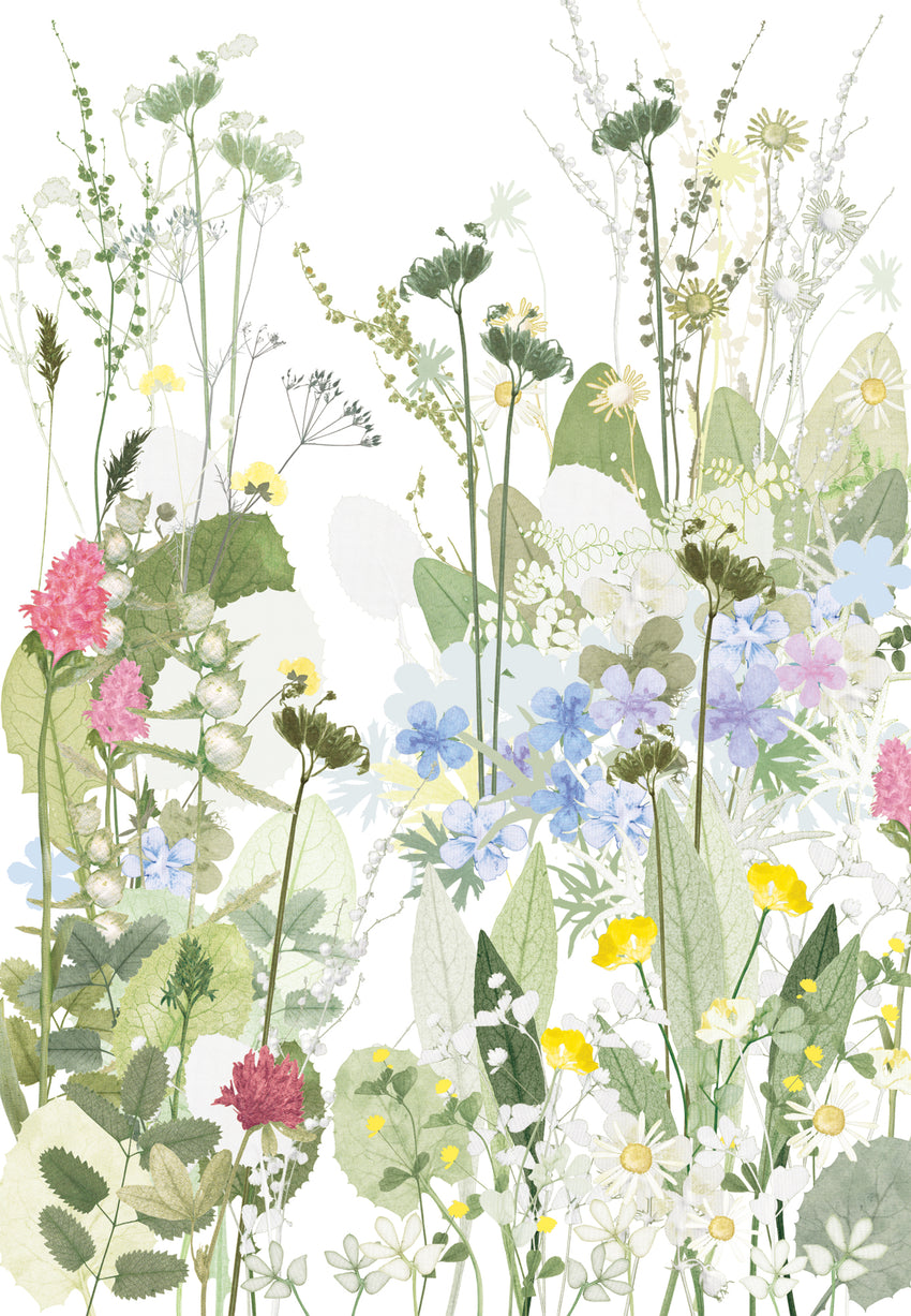 Cranesbill and Cowslips Print
