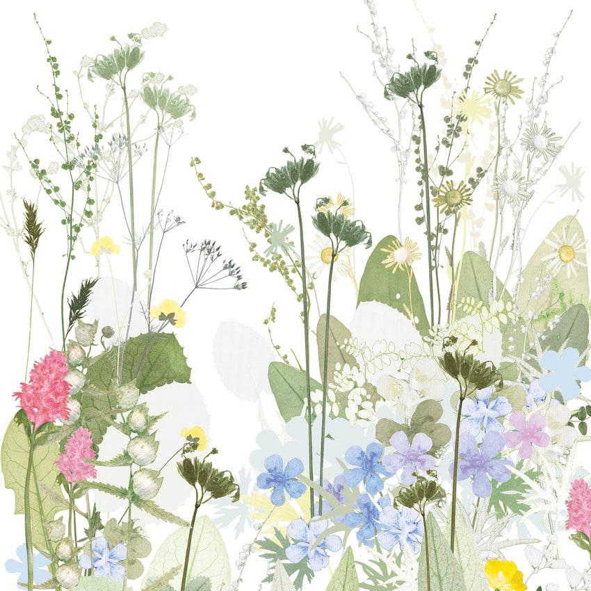 Cranesbill and Cowslips Print