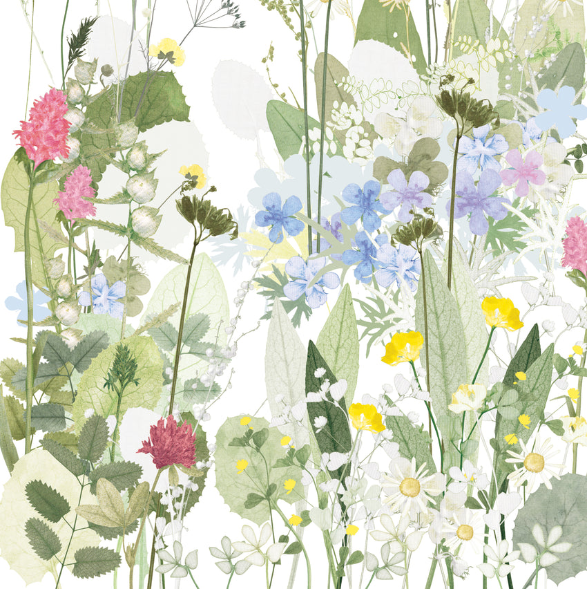 Cranesbill and Cowslips Print