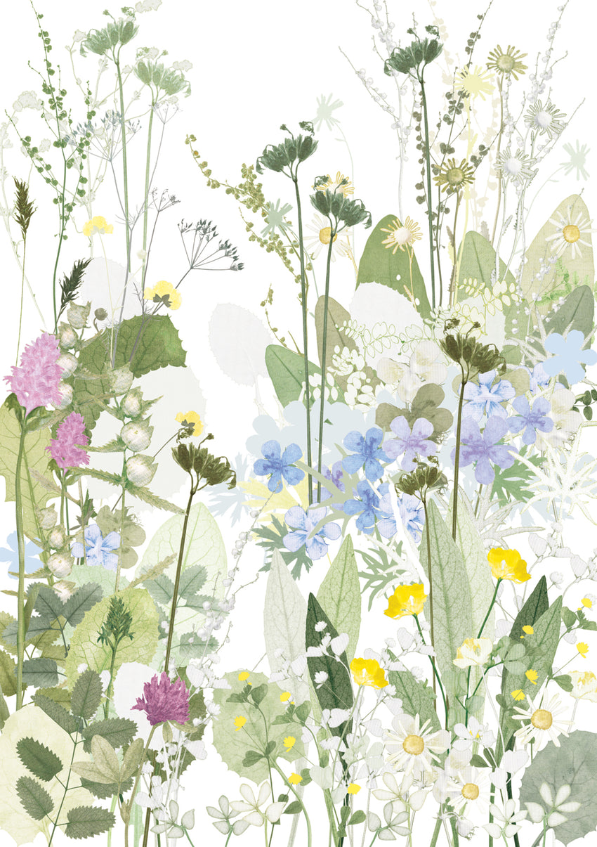 Cranesbill and Cowslips Card