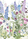 Delphiniums Card