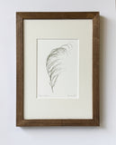 Elegia capensis Print