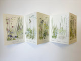 'The Gravel Garden' Concertina Book