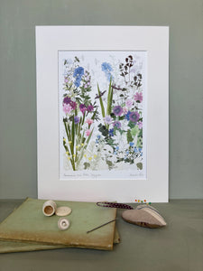 Anemones and Phlox, Highgrove print