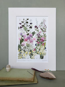 Cosmos and Astrantia, Highgrove print
