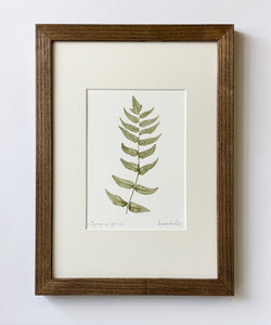 Cyrtomium fortunei print