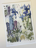 Iris and lupins Print