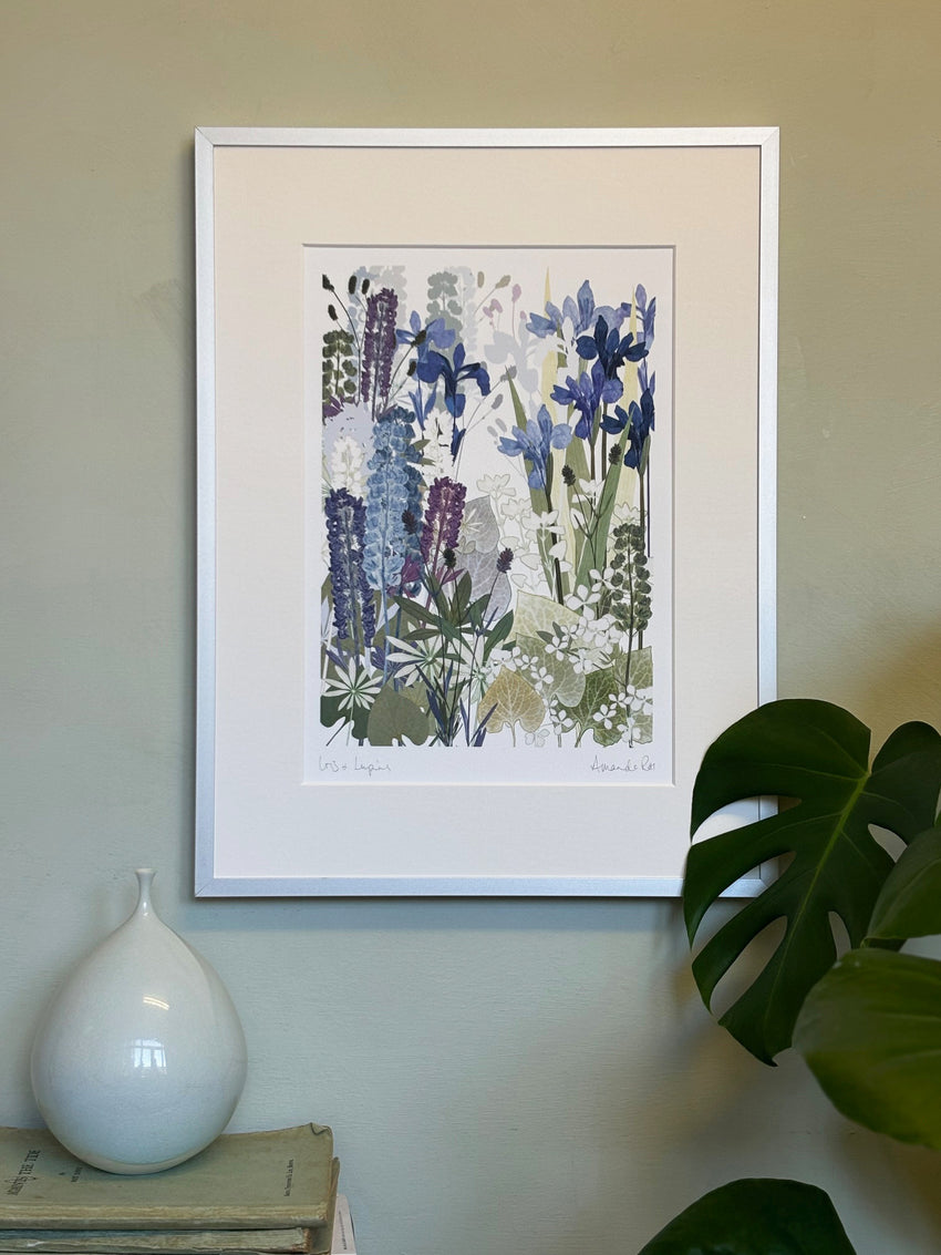 Iris and lupins Print