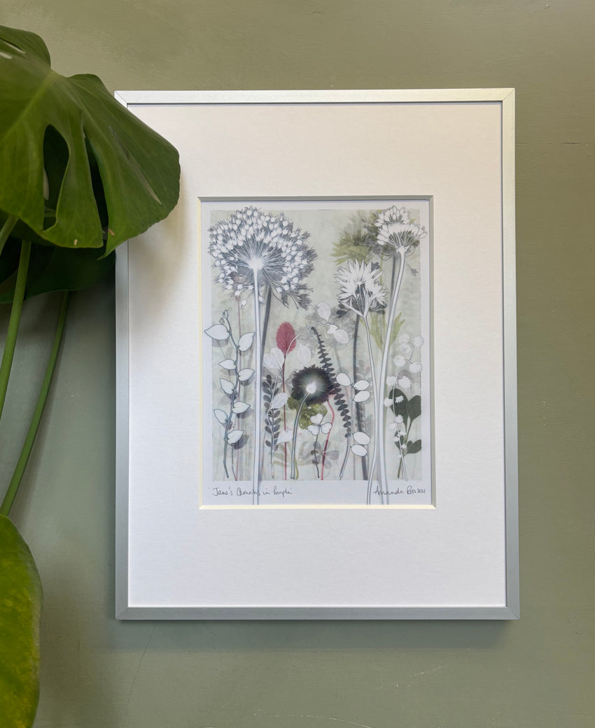Janes Clematis in Purple, 30 x 40 cm