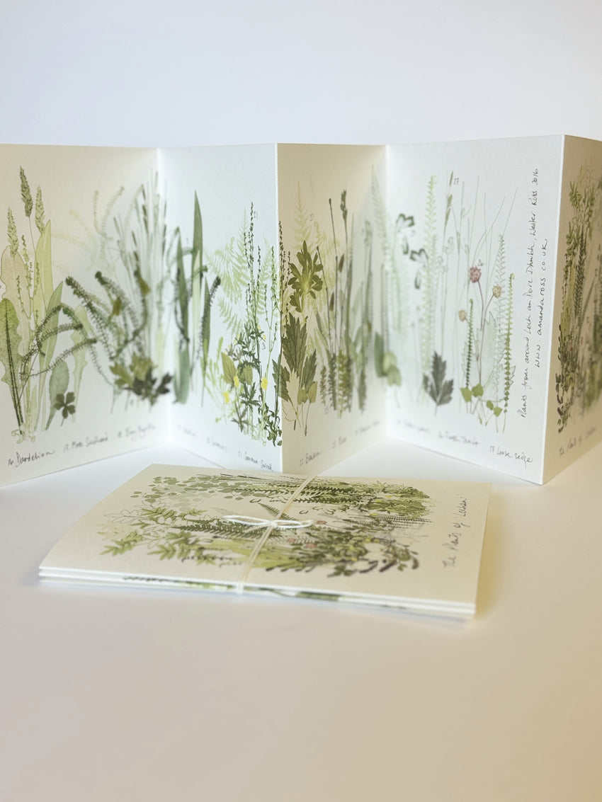 'Lochan' Print Concertina Book