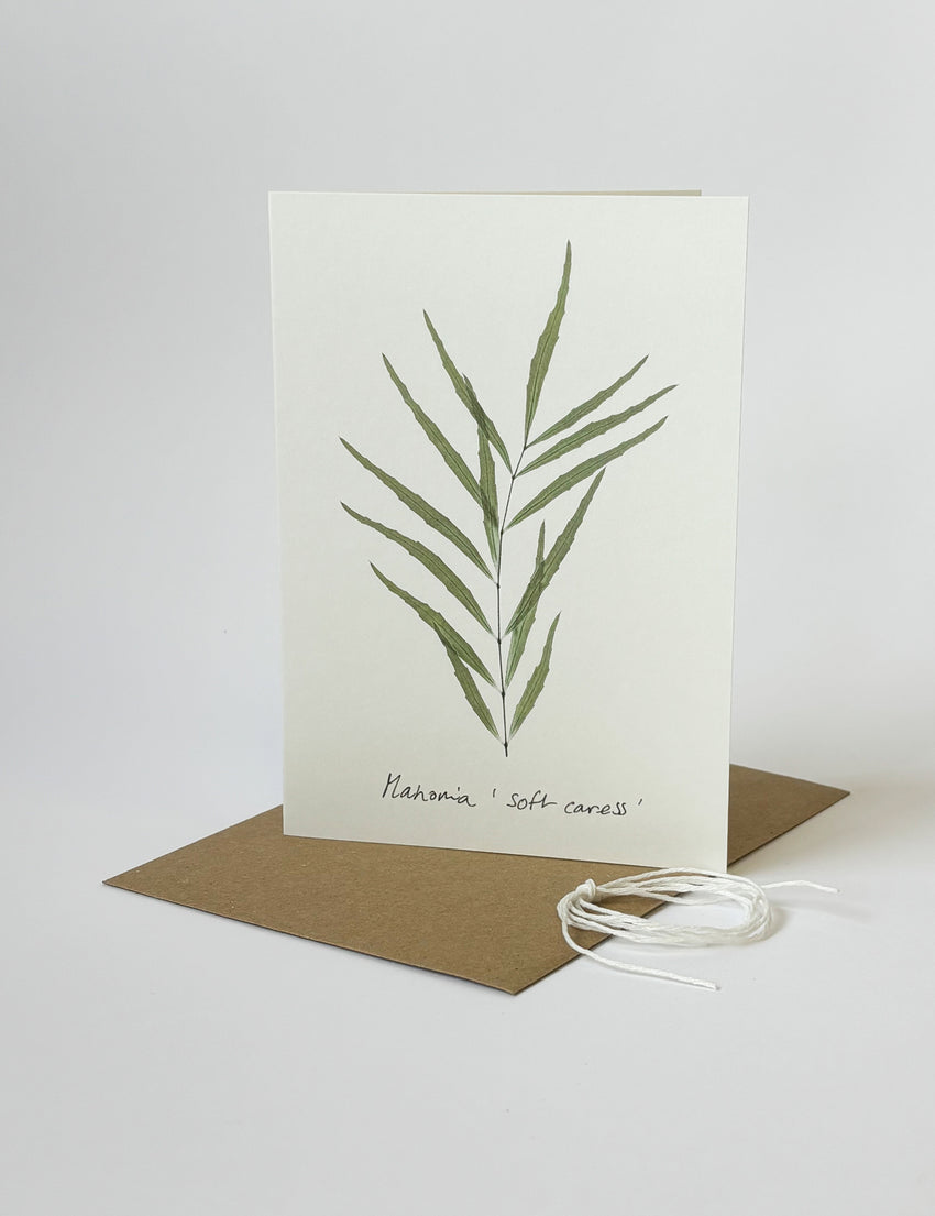 Mahonia Card